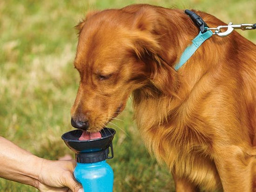 Aquadog Drinkfles